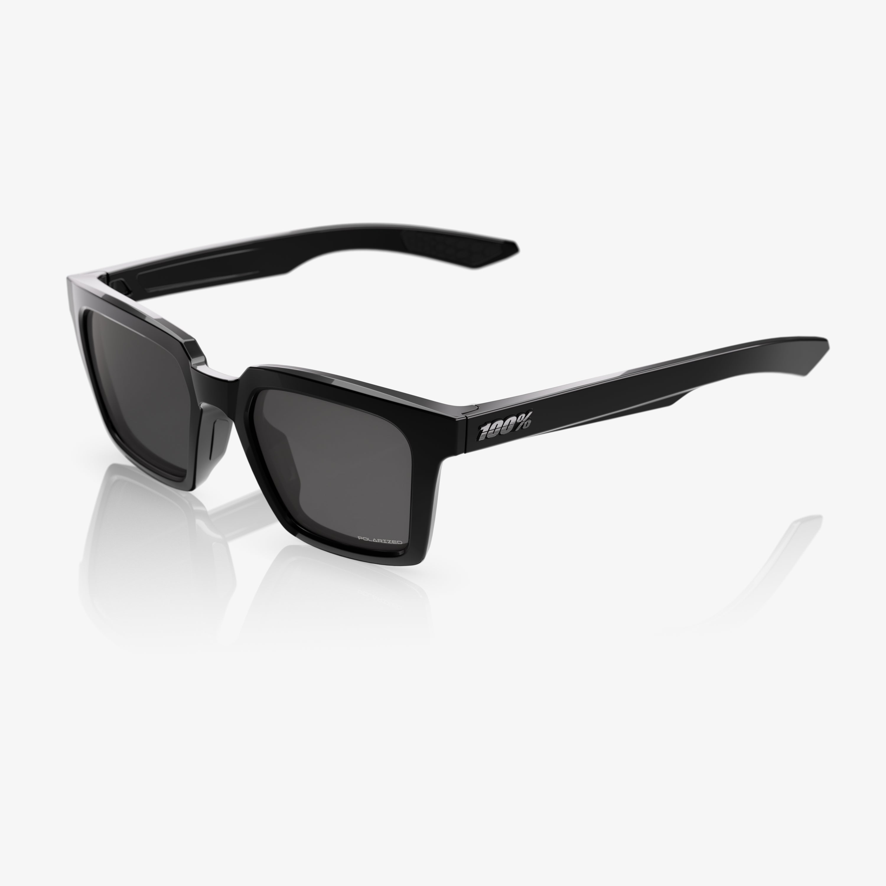 ERBA Polished Black Grey Polarized Lens