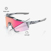 SPEEDCRAFT  Poliert, durchscheinend grau – Roségold-Spiegelgläser mit photochromer Tönung